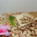 Favas de crescimento natural